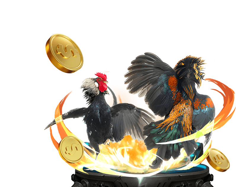 Đá gà trực tiếp ok365 com